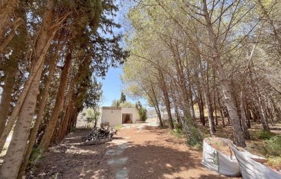 Resale - Commercial - Alhaurín de la Torre