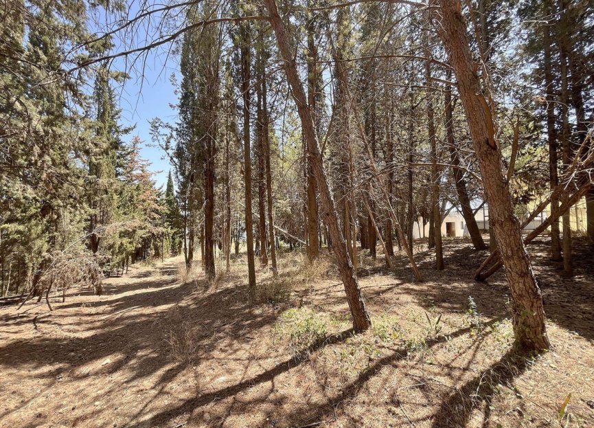 Resale - Commercial - Alhaurín de la Torre