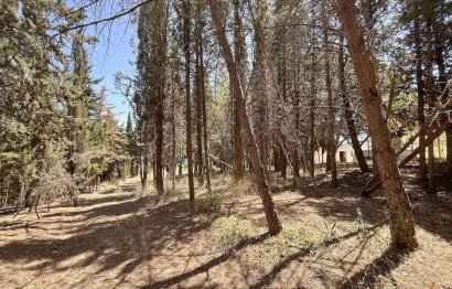 Resale - Commercial - Alhaurín de la Torre