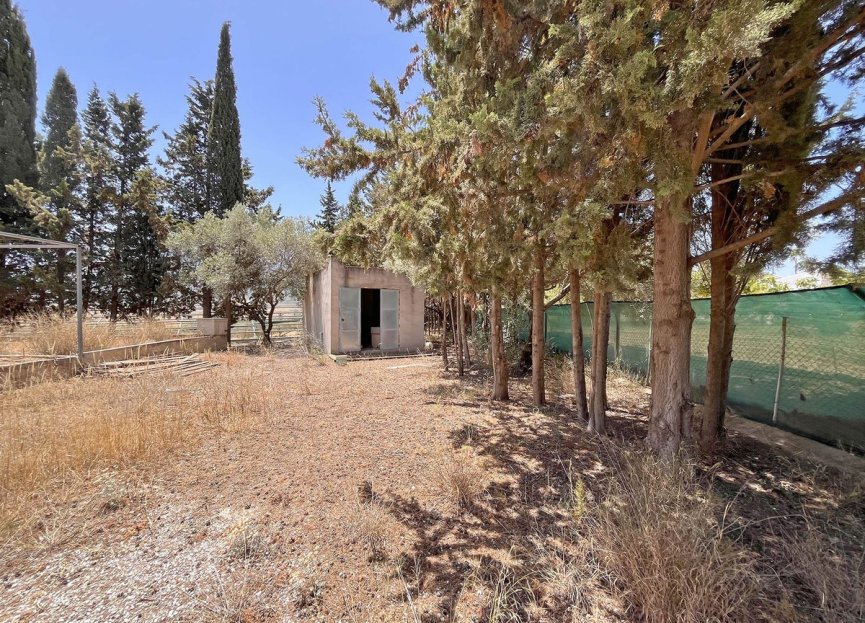 Resale - Commercial - Alhaurín de la Torre