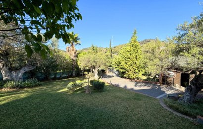 Reventa - Casa - Monda