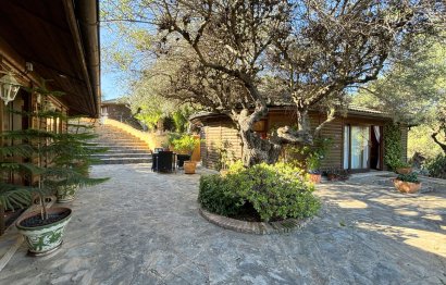 Reventa - Casa - Monda