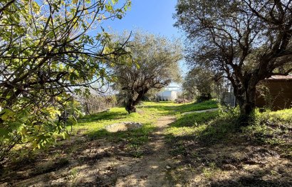 Reventa - Casa - Monda