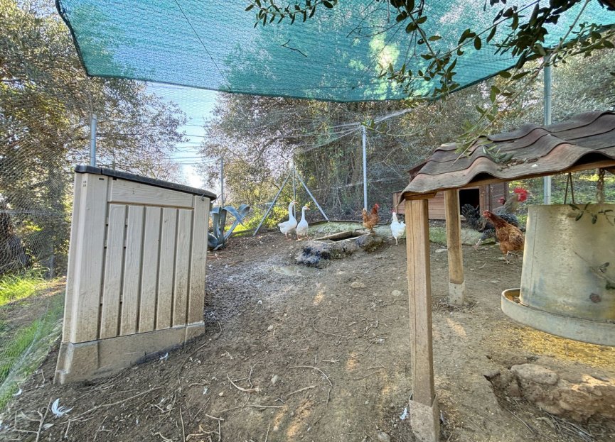 Reventa - Casa - Monda