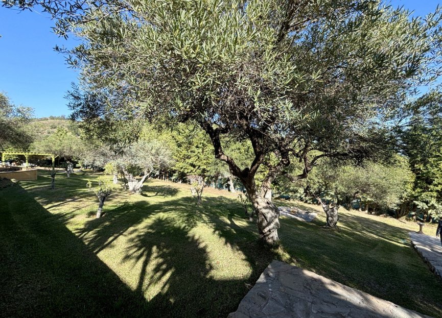 Reventa - Casa - Monda