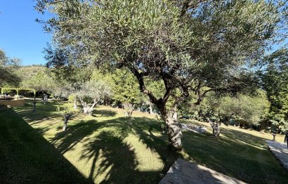 Reventa - Casa - Monda