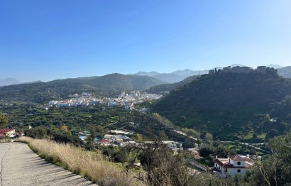 Reventa - Casa - Monda