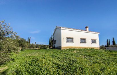 Reventa - Casa - Alhaurín el Grande