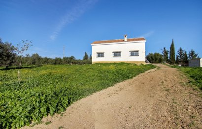 Reventa - Casa - Alhaurín el Grande