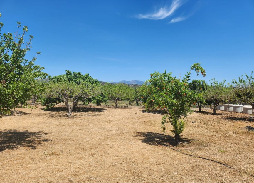 Resale - Plot - Land - Estepona - Estepona Centro