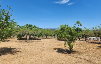 Resale - Plot - Land - Estepona - Estepona Centro