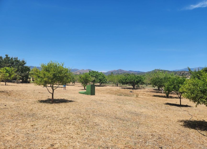 Resale - Plot - Land - Estepona - Estepona Centro