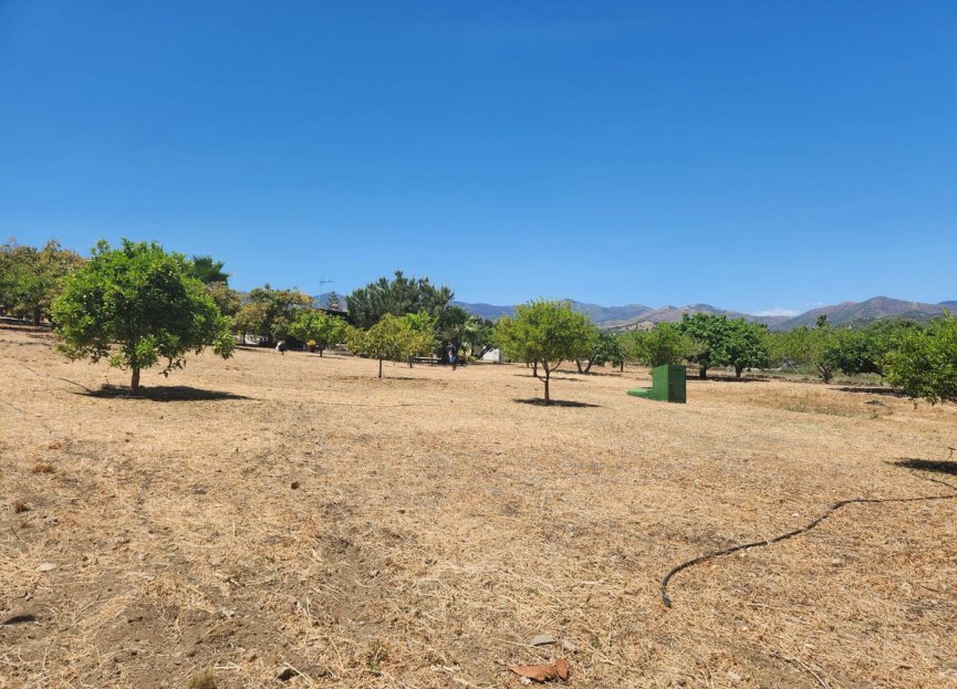 Resale - Plot - Land - Estepona - Estepona Centro