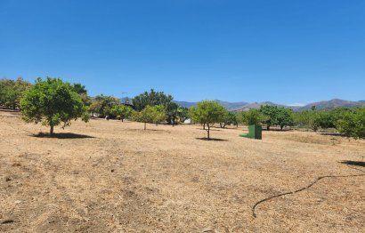 Resale - Plot - Land - Estepona - Estepona Centro