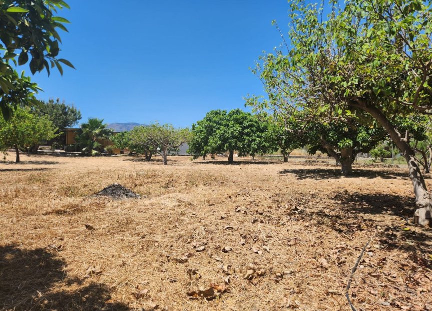 Resale - Plot - Land - Estepona - Estepona Centro