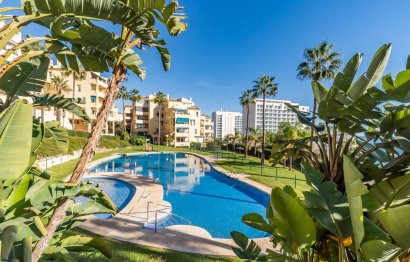 Resale - Apartment - Ground Floor Apartment - Benalmádena - Benalmadena Costa