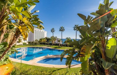 Resale - Apartment - Ground Floor Apartment - Benalmádena - Benalmadena Costa