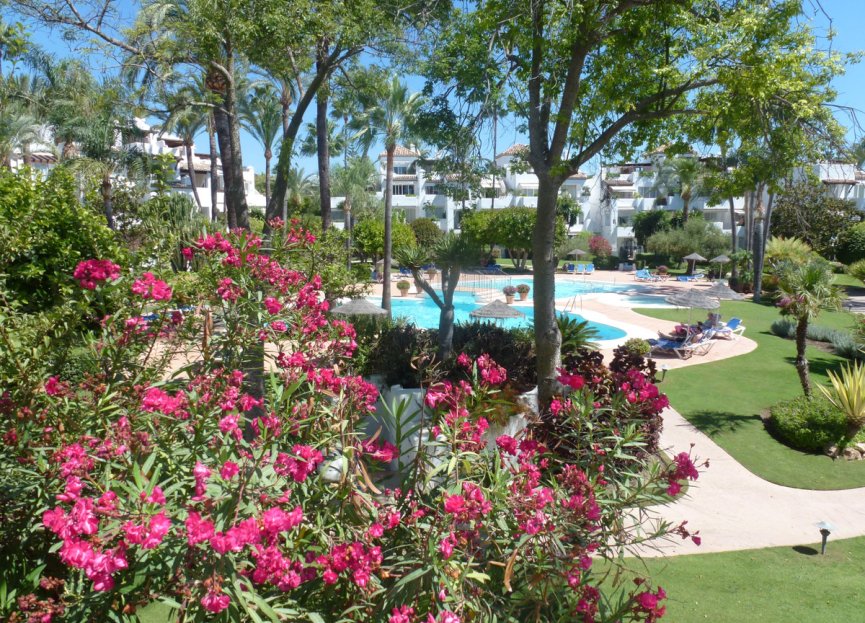 Reventa - Apartment - Ground Floor Apartment - Estepona - Estepona Centro