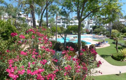 Resale - Apartment - Ground Floor Apartment - Estepona - Estepona Centro