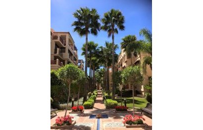 Resale - Apartment - Ground Floor Apartment - Estepona - Estepona Centro