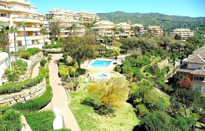 Resale - Apartment - Penthouse - Marbella - Elviria