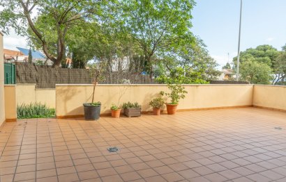 Resale - Apartment - Ground Floor Apartment - Torremolinos