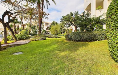 Resale - Apartment - Ground Floor Apartment - Estepona - Estepona Centro