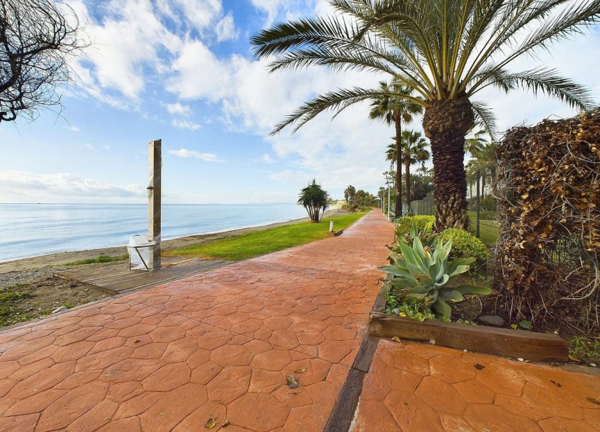 Resale - Apartment - Ground Floor Apartment - Estepona - Estepona Centro