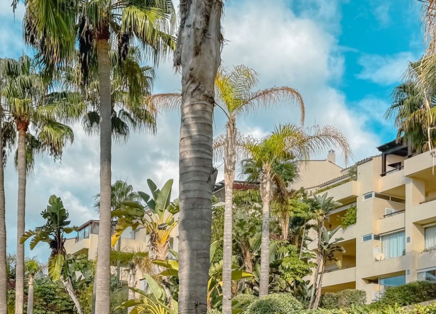 Reventa - Apartment - Middle Floor Apartment - Marbella - Las Brisas