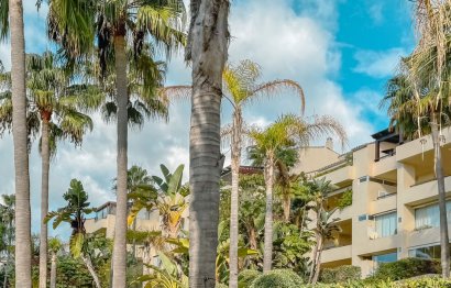 Reventa - Apartment - Middle Floor Apartment - Marbella - Las Brisas