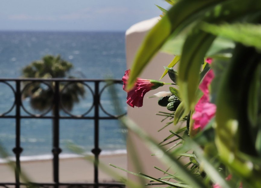 Reventa - Apartment - Penthouse Duplex - Estepona - Estepona Centro