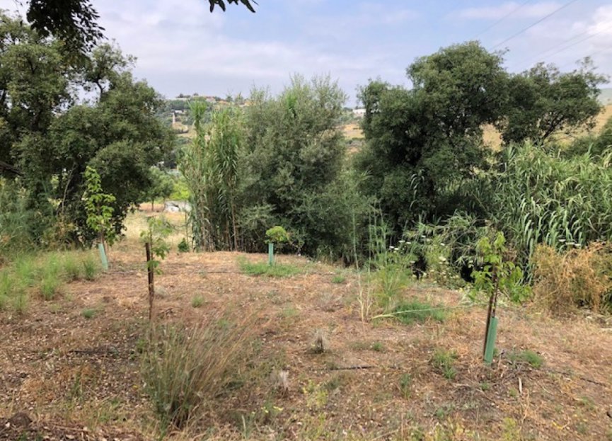 Resale - Plot - Land - Estepona - Estepona Centro