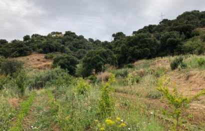 Resale - Plot - Land - Estepona - Estepona Centro