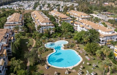 Resale - Apartment - Top Floor Apartment - Marbella - Nueva Andalucia