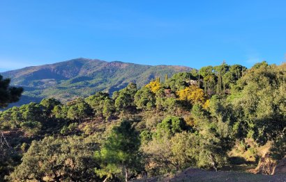 Resale - Plot - Land - Benahavís - La Zagaleta