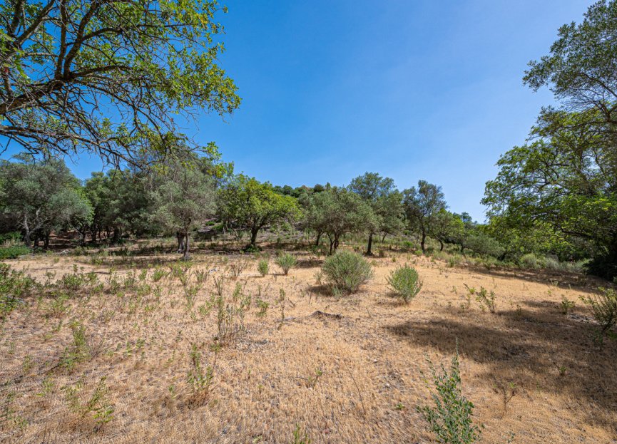 Resale - Plot - Land - Benahavís - La Zagaleta