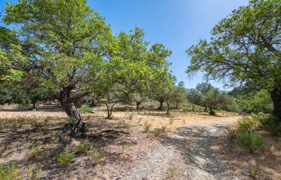 Resale - Plot - Land - Benahavís - La Zagaleta