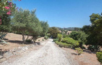 Resale - House - Finca - Cortijo - Casares - Casares Centro