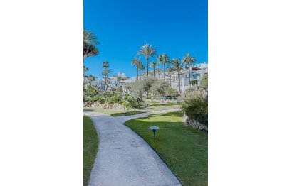 Resale - Apartment - Ground Floor Apartment - Estepona - Estepona Centro