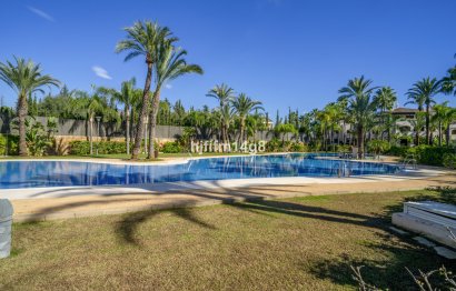 Resale - Apartment - Ground Floor Apartment - Marbella - Nueva Andalucia