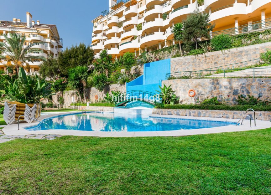 Resale - Apartment - Middle Floor Apartment - Marbella - Nueva Andalucia