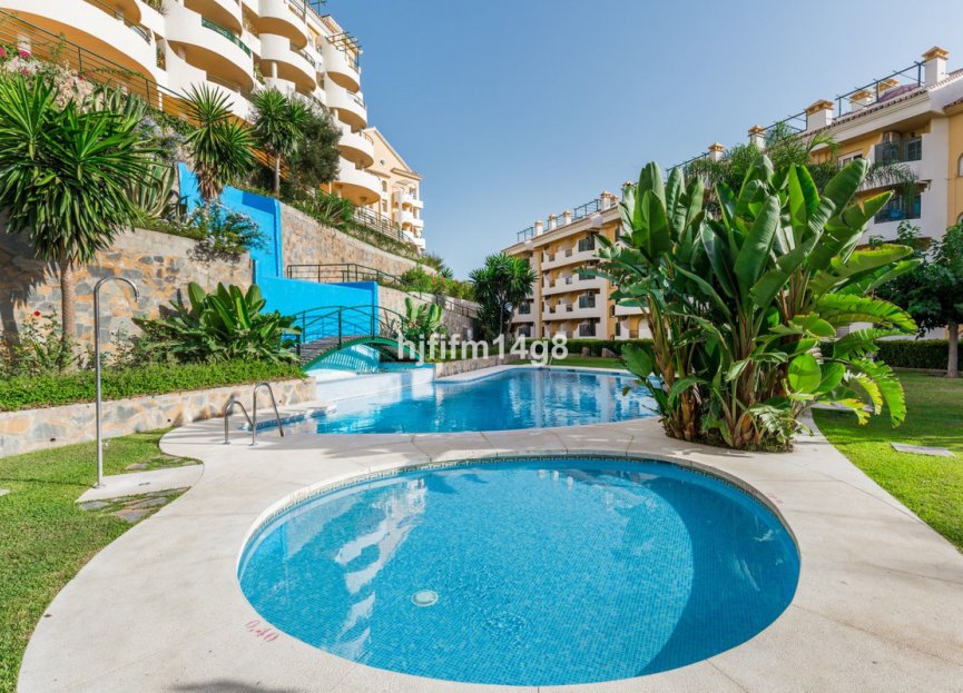 Resale - Apartment - Middle Floor Apartment - Marbella - Nueva Andalucia