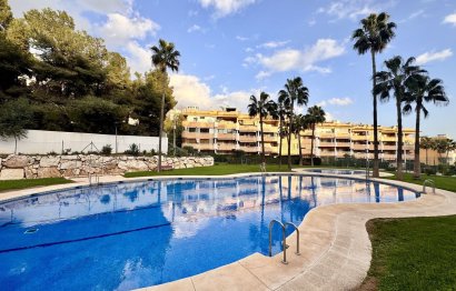 Resale - Apartment - Ground Floor Apartment - Fuengirola - Fuengirola Centro