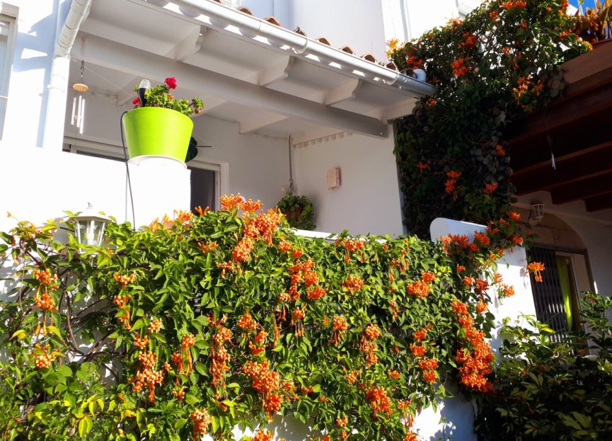 Resale - House - Townhouse - Marbella - Reserva de Marbella