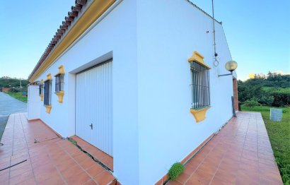 Resale - House - Detached Villa - Estepona - Estepona Centro