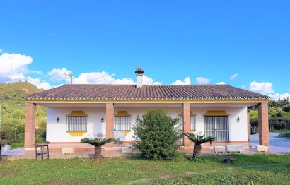 Resale - House - Detached Villa - Estepona - Estepona Centro