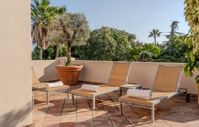 Reventa - Apartment - Middle Floor Apartment - Estepona - Estepona Centro