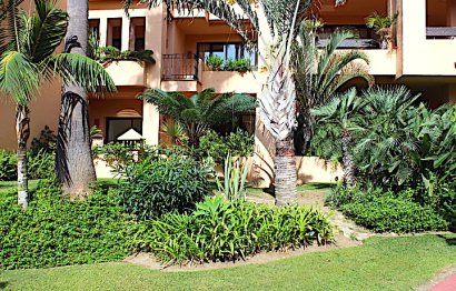 Resale - Apartment - Ground Floor Apartment - Marbella - San Pedro De Alcantara