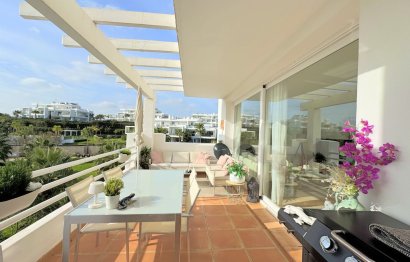 Resale - Apartment - Middle Floor Apartment - Casares - Casares Centro