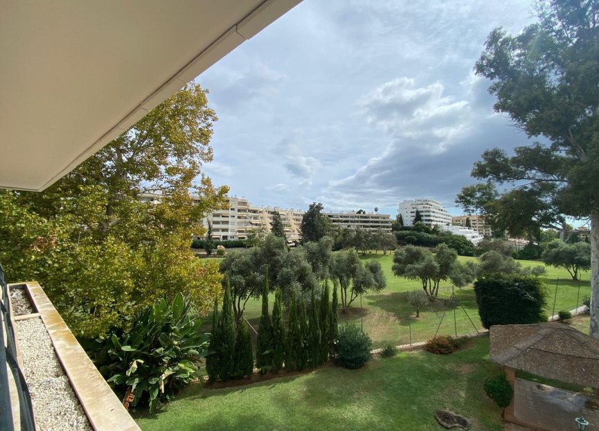 Resale - Apartment - Middle Floor Apartment - Marbella - Guadalmina Alta